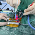 f961a81cbb21ef40c0f11a79d1b04bdd